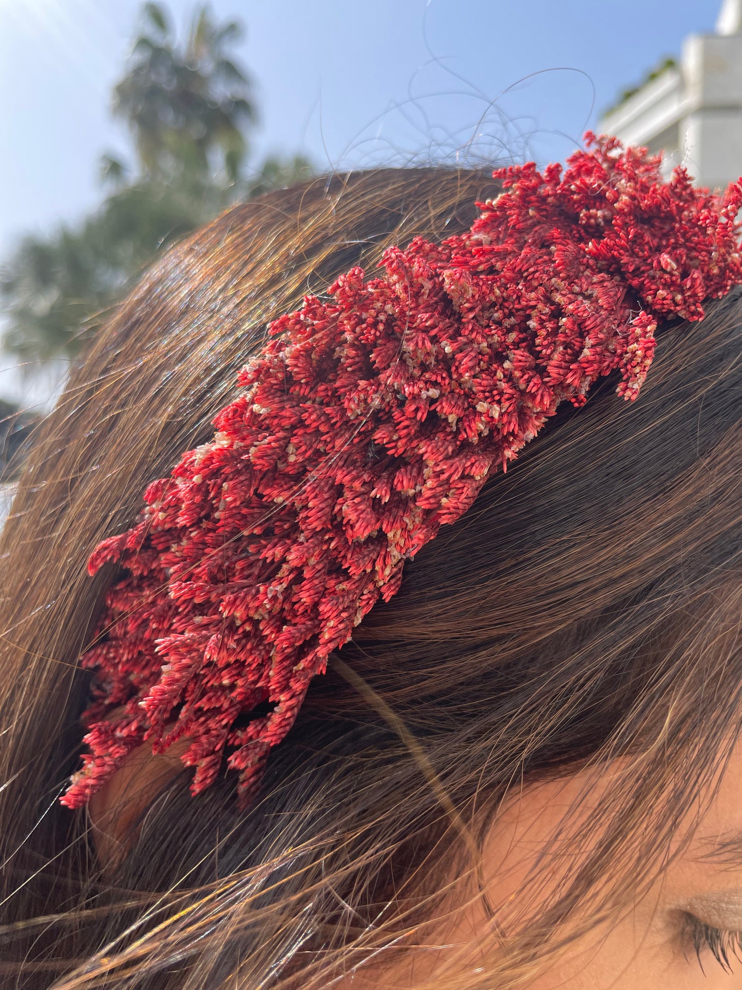 Diadema Brezo buganvilla