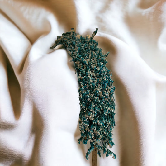 Diadema Brezo azul